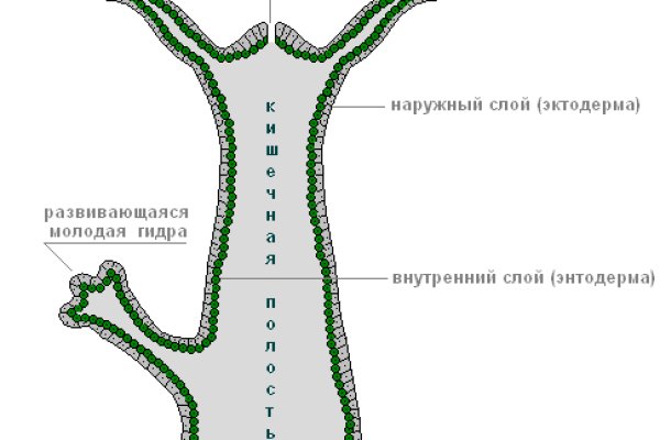 Ссылка на кракен 2024